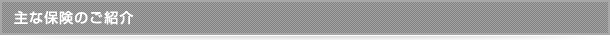 主な保険のご紹介